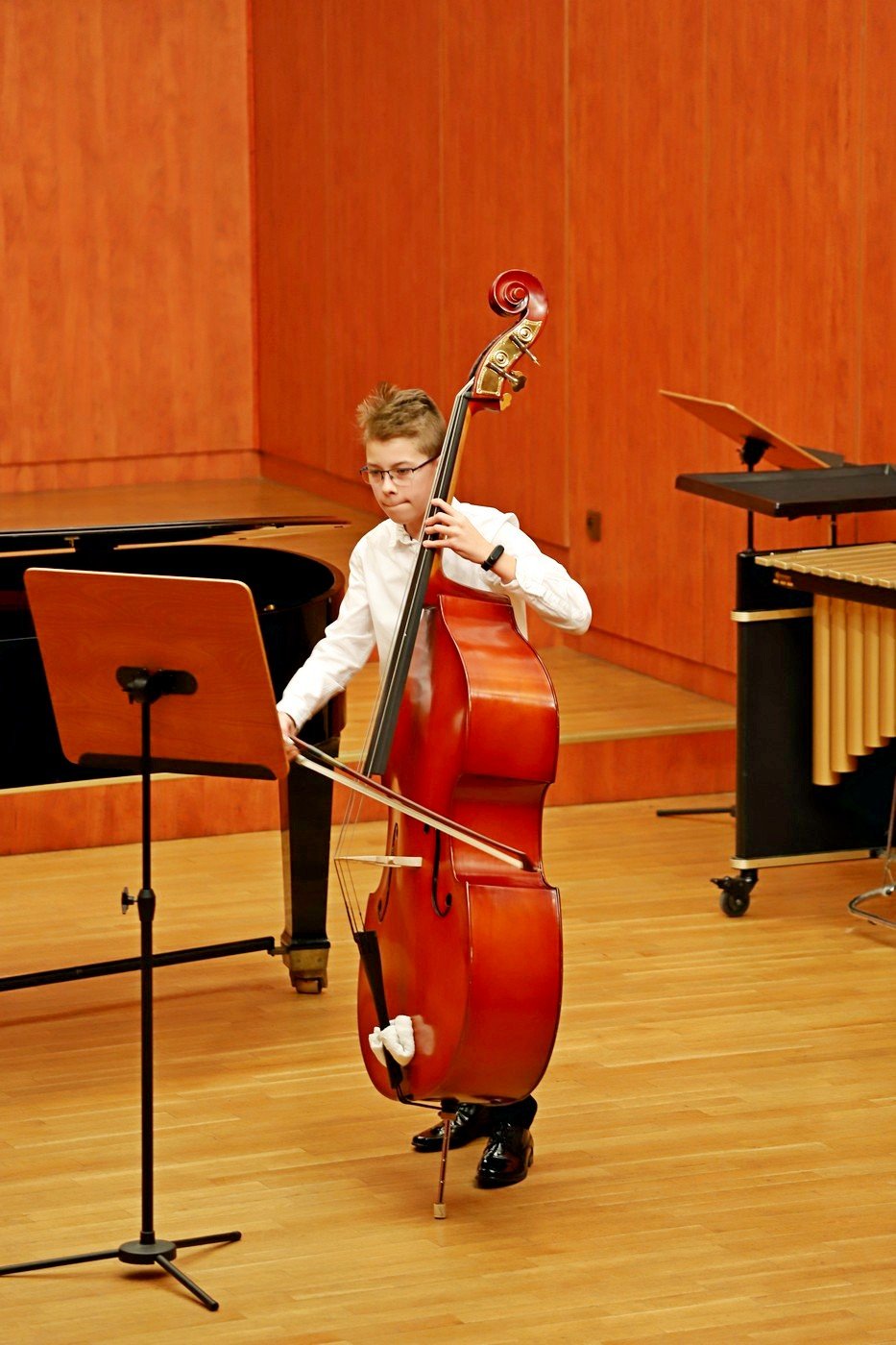 koncert-semestralny-modych-muzykow-85374