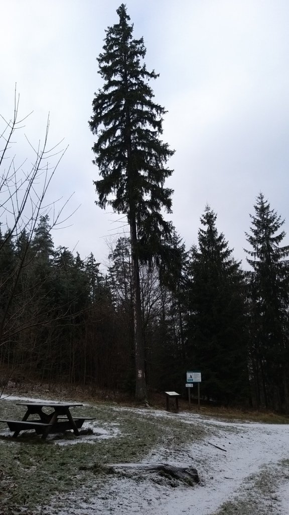 widowiskowy-duet-w-sokolich-gorach-85388