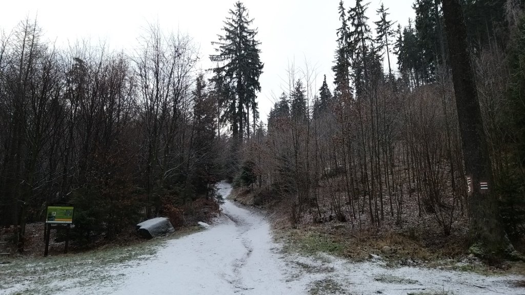 widowiskowy-duet-w-sokolich-gorach-85388