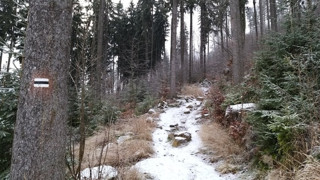 widowiskowy-duet-w-sokolich-gorach-85388