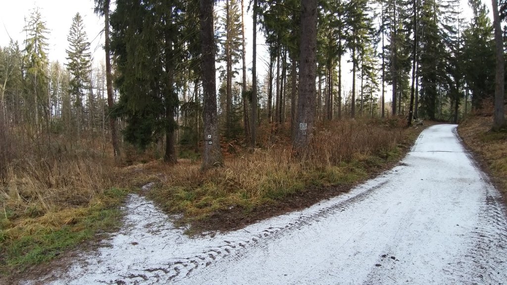 widowiskowy-duet-w-sokolich-gorach-85388