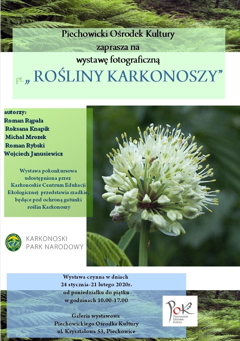 unikatowa-wystawa-zdjec-karkonoskich-roslin-85423