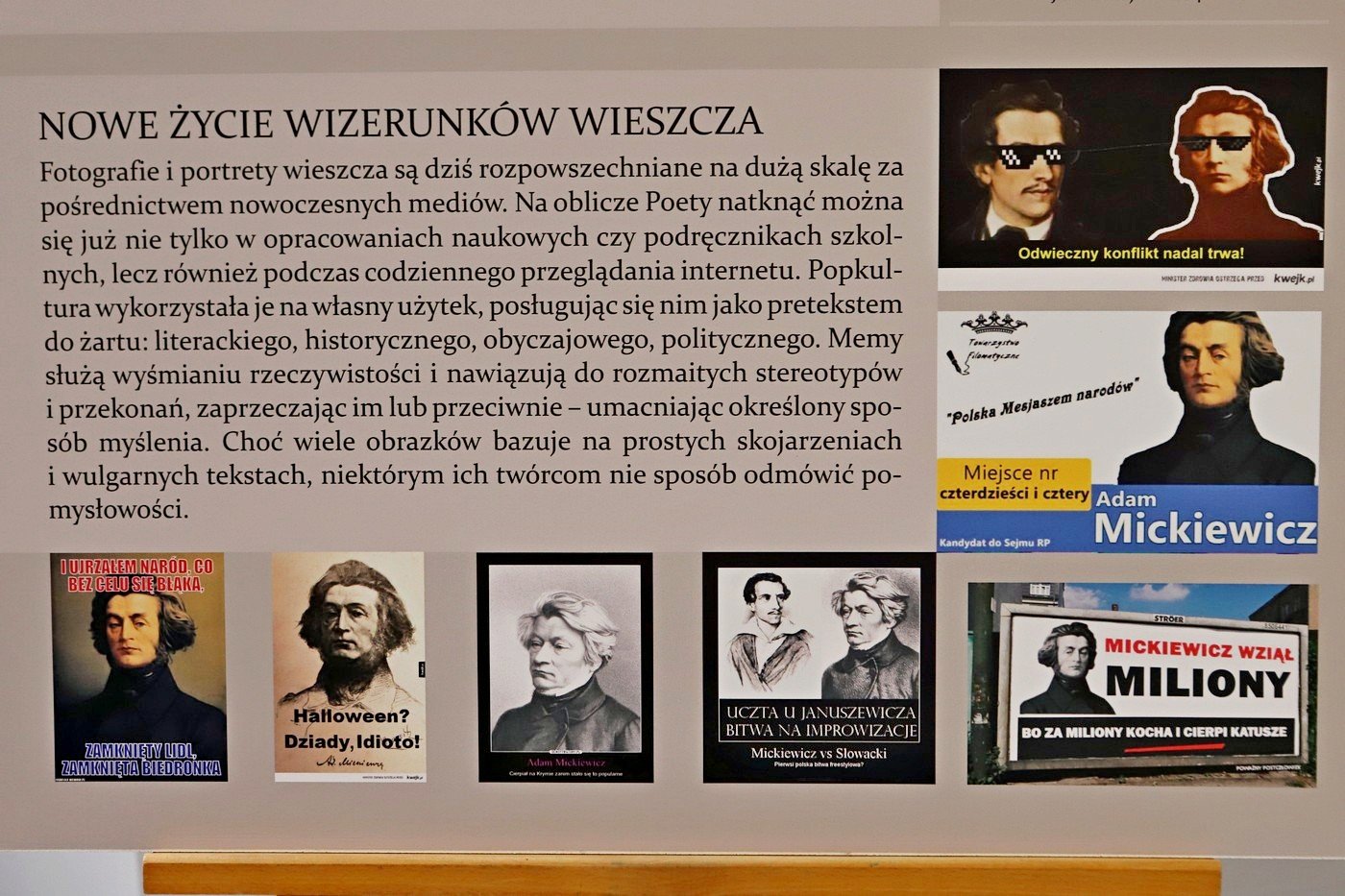 w-ksiaznicy-o-mickiewiczu-85441