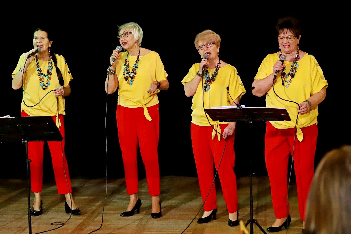 zespo-agat-koncertuje-85639