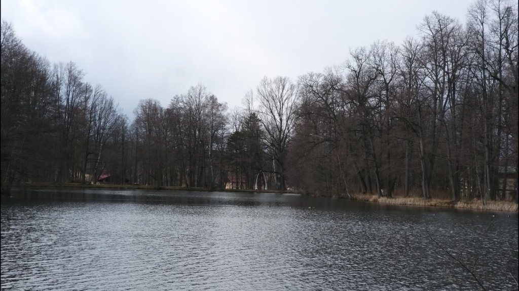 na-mrowcza-gore-85685