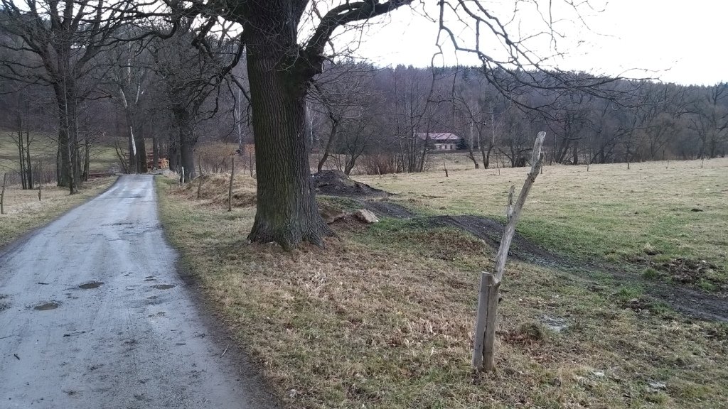 na-mrowcza-gore-85685