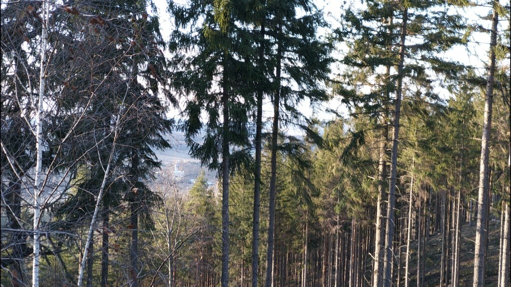 na-mrowcza-gore-85685