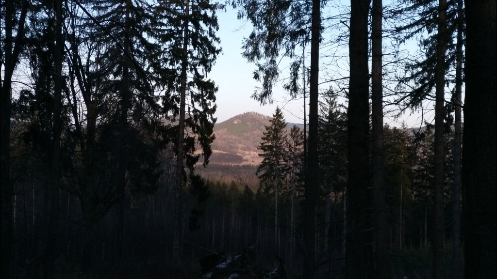 na-mrowcza-gore-85685