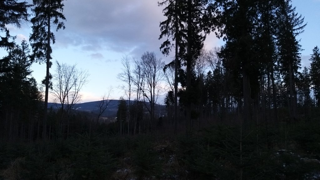 na-mrowcza-gore-85685