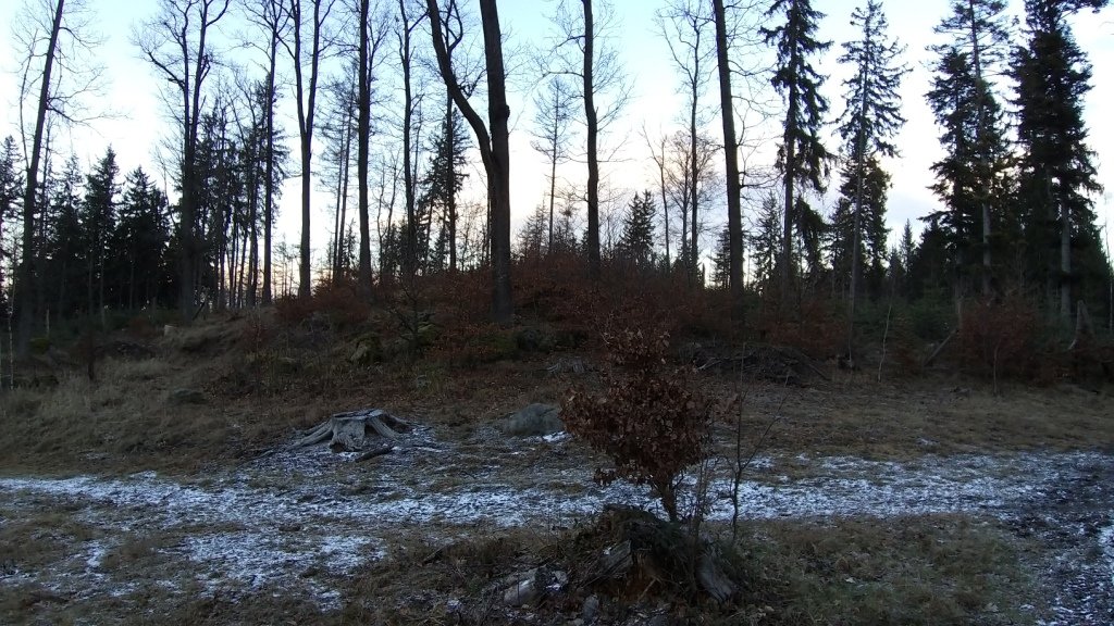 na-mrowcza-gore-85685