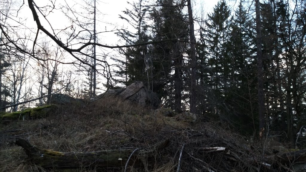 na-mrowcza-gore-85685