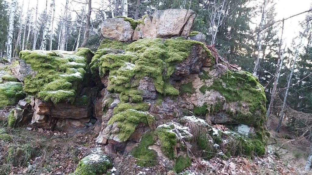 na-mrowcza-gore-85685