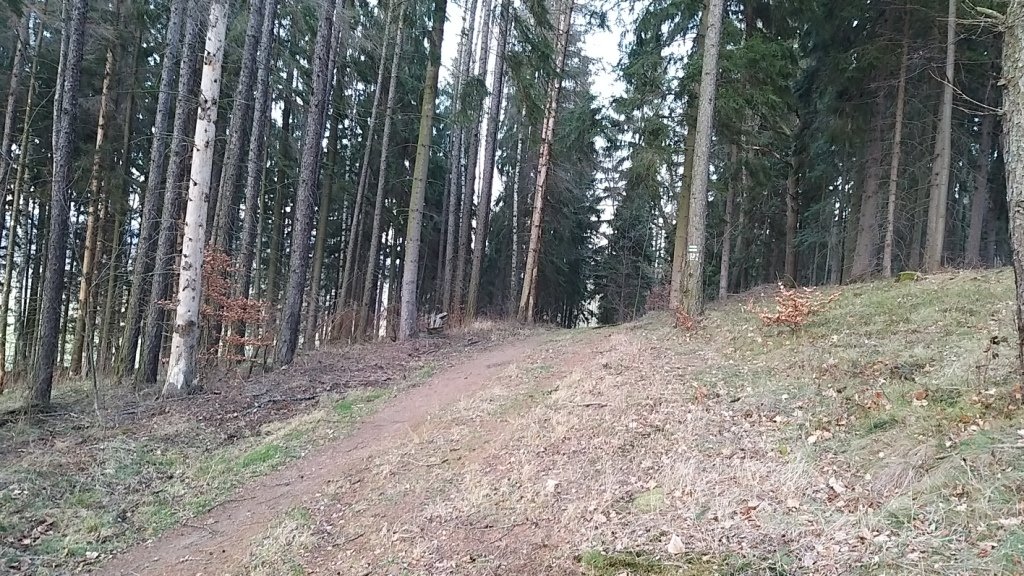 na-mrowcza-gore-85685