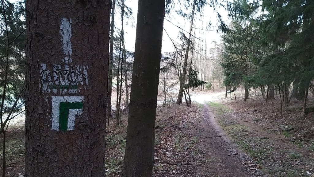 na-mrowcza-gore-85685
