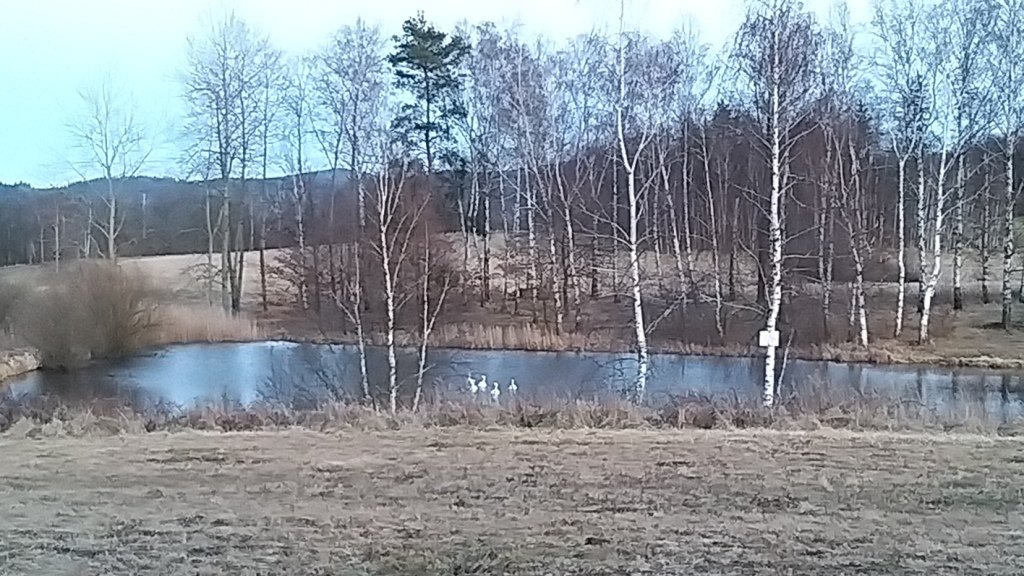 na-mrowcza-gore-85685