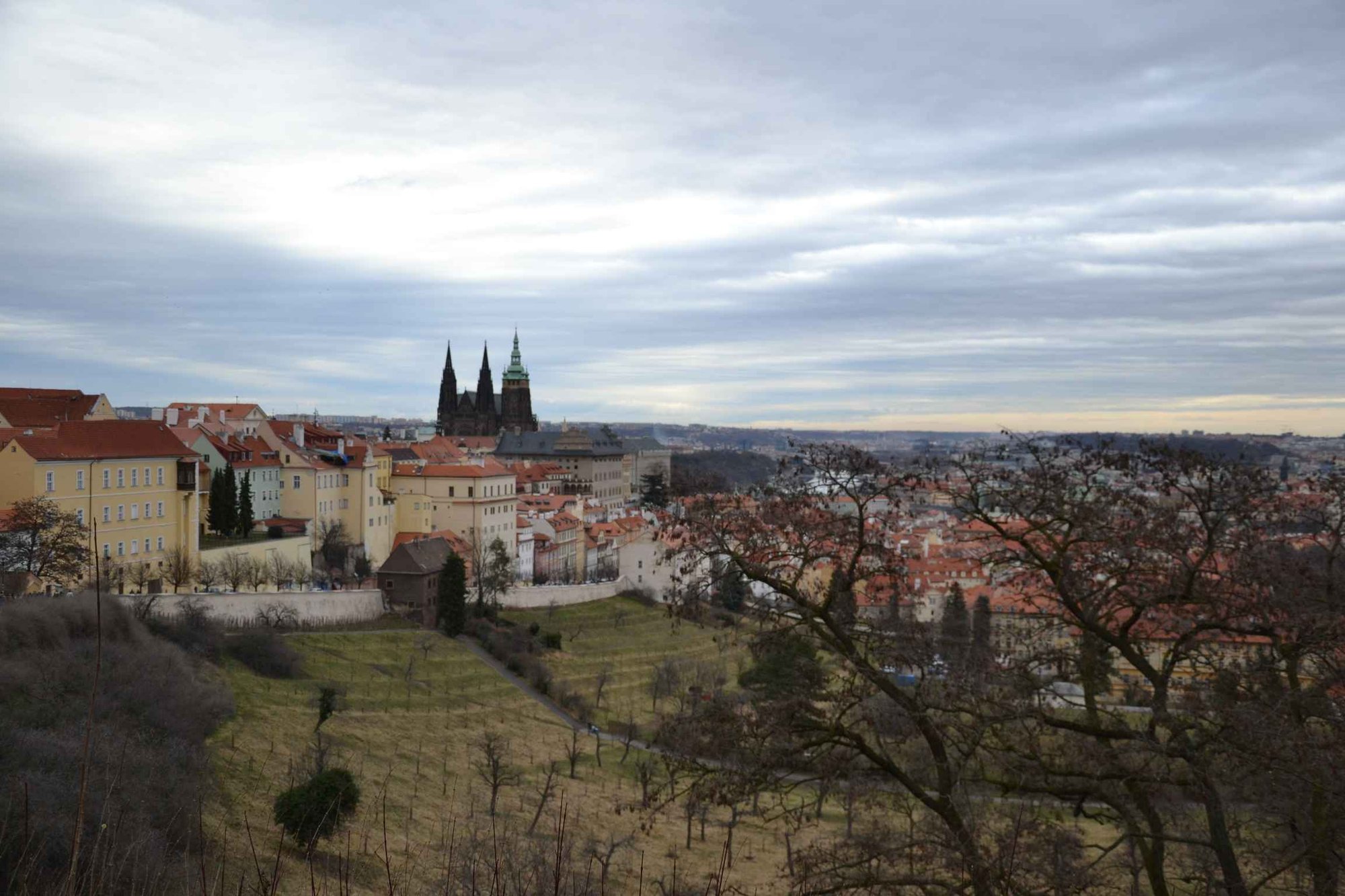 dzien-w-pradze-85774