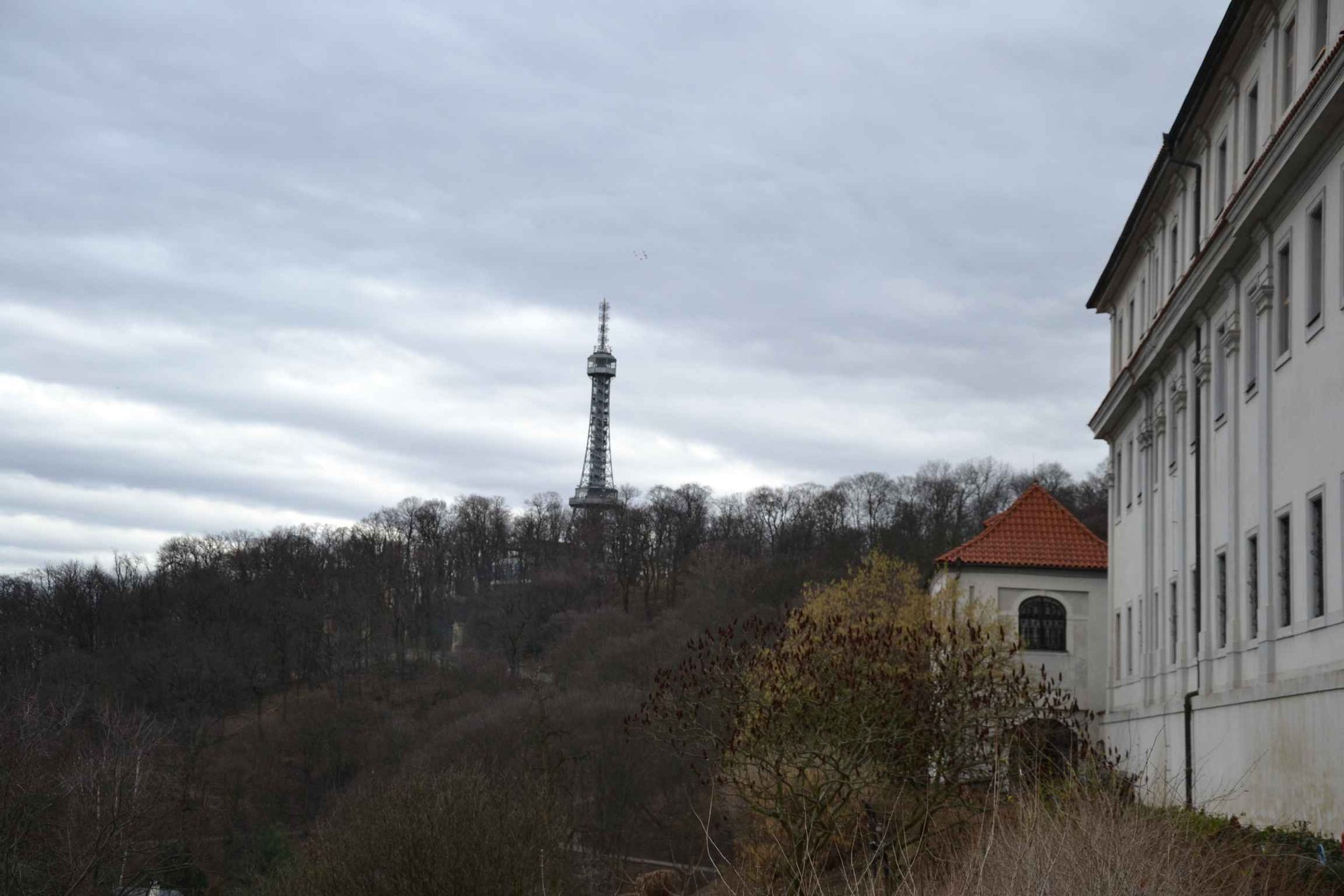 dzien-w-pradze-85774