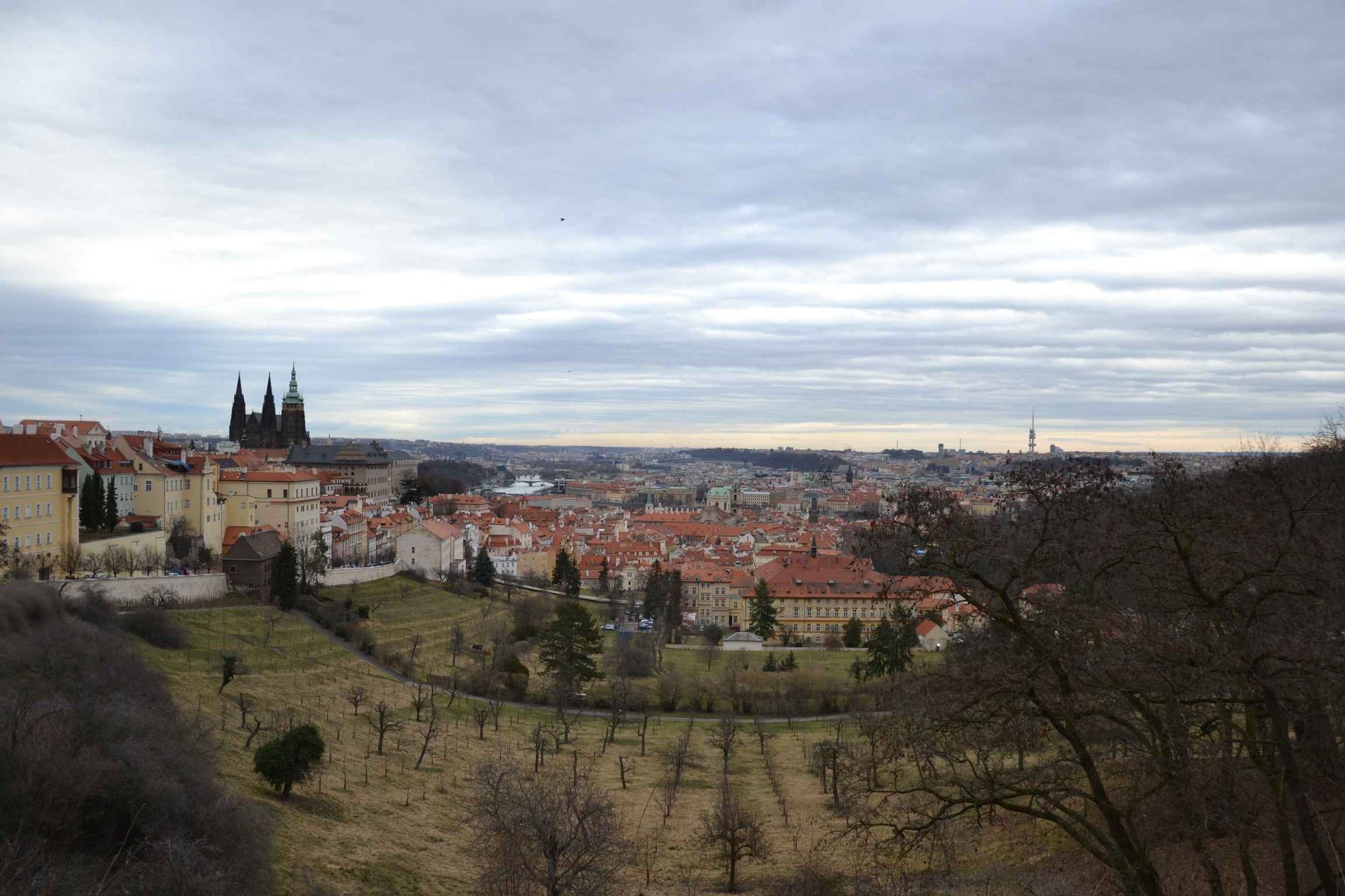 dzien-w-pradze-85774