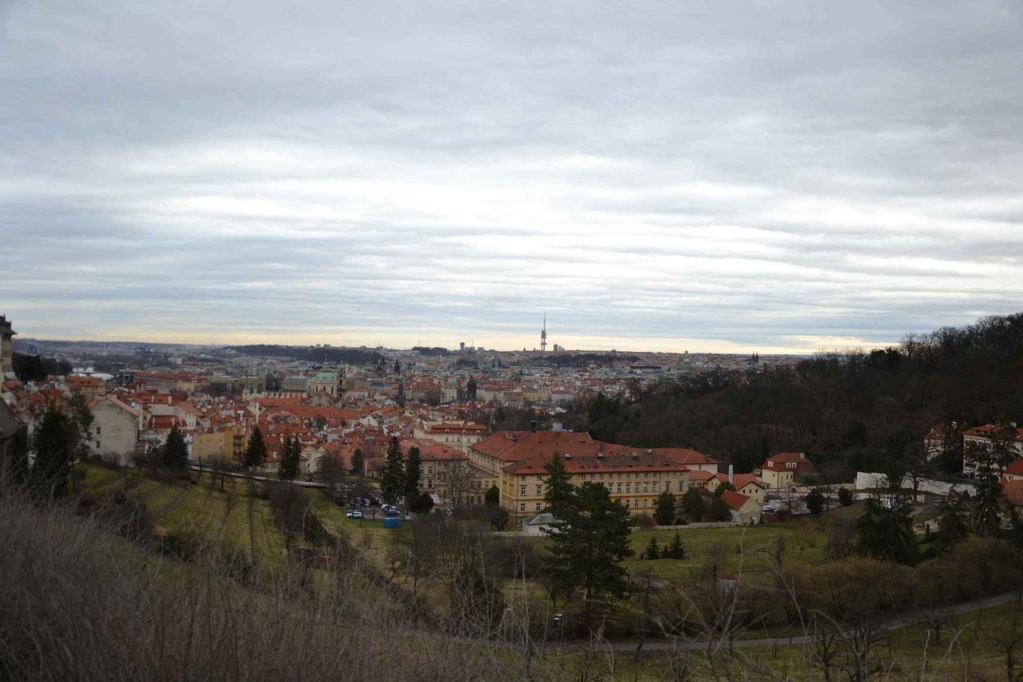 dzien-w-pradze-85774