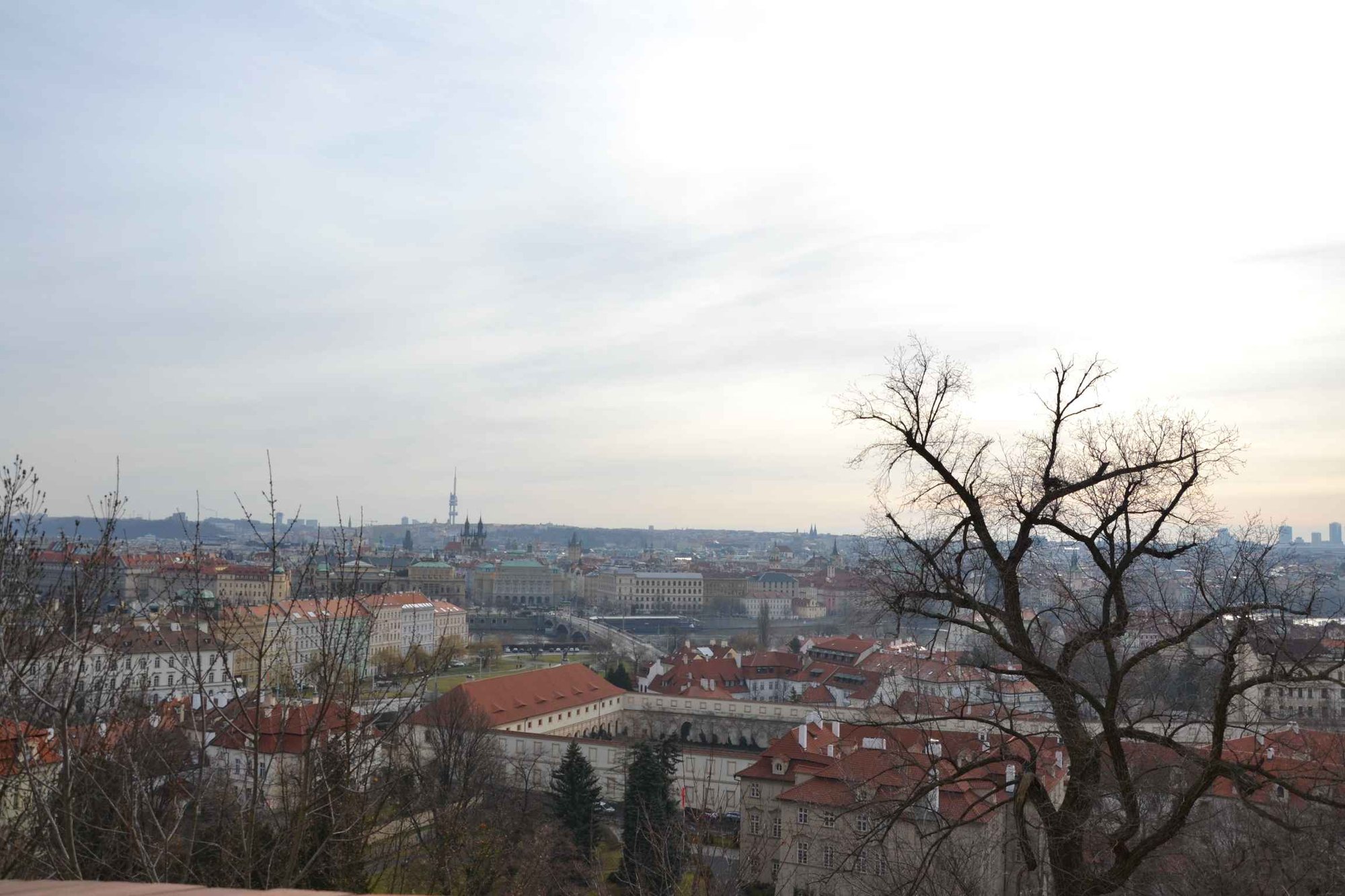 dzien-w-pradze-85774