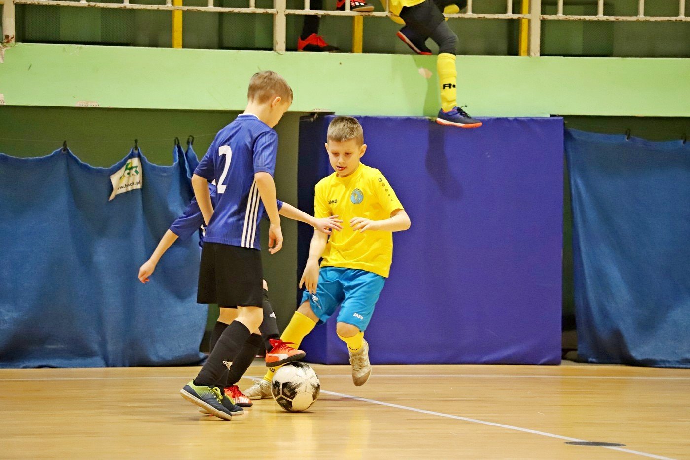 turniej-zakow-dla-zotych-85839