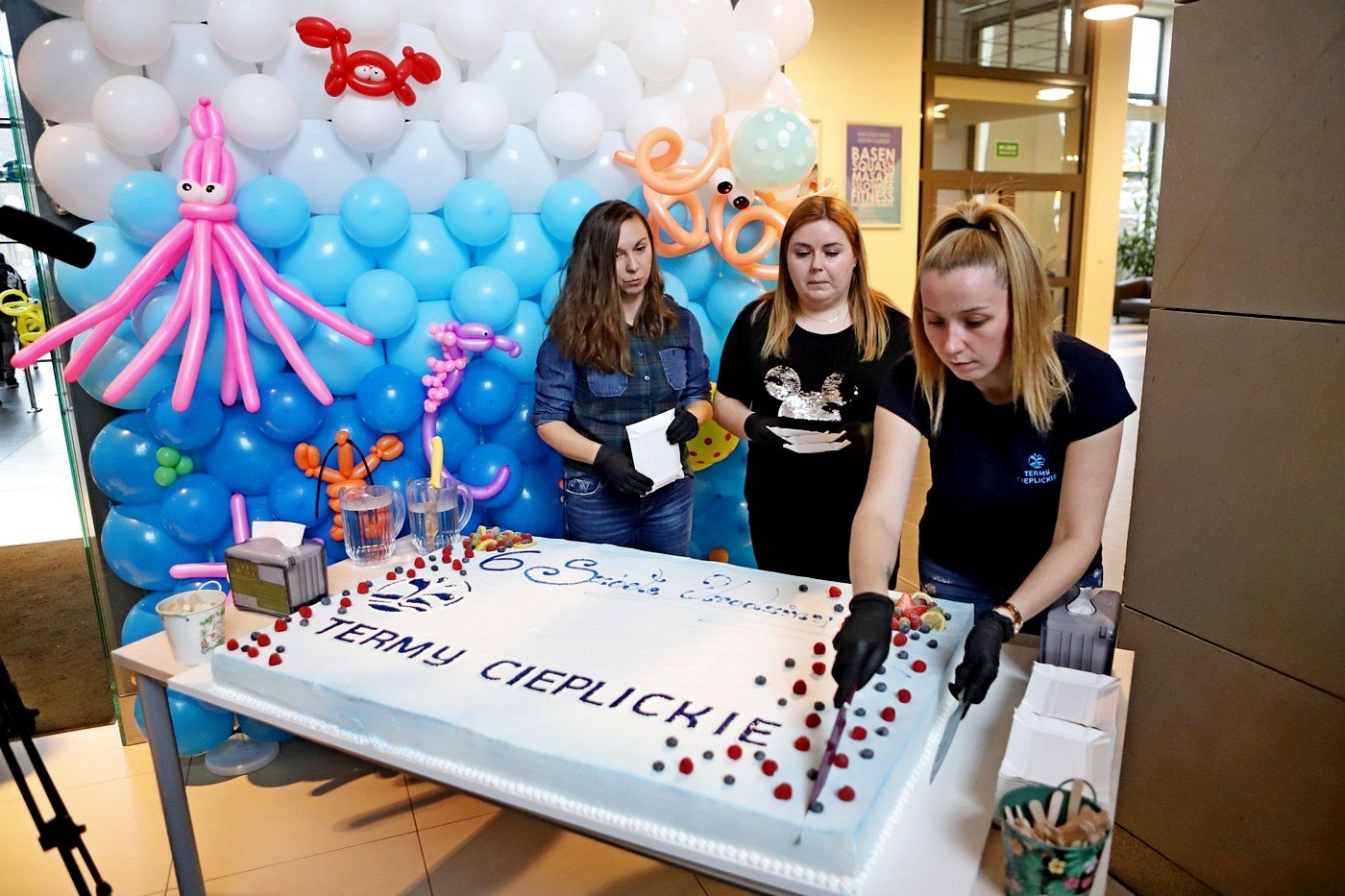 6-lat-term-cieplickich-85980