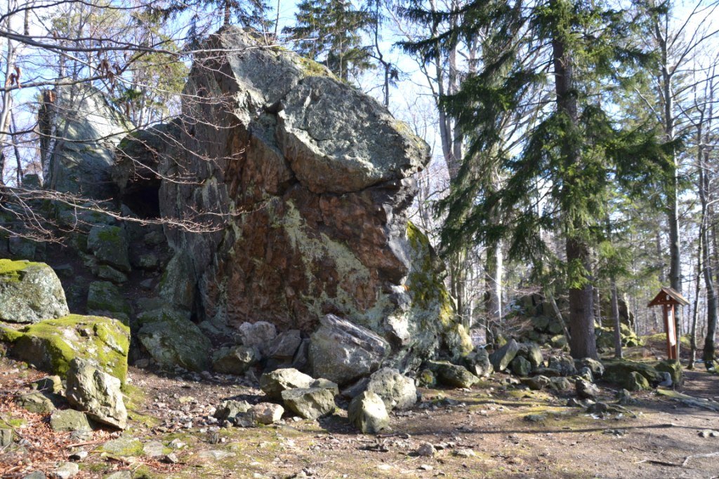 tym-razem-wyprawa-na-krokusy-do-gorzynca-86015