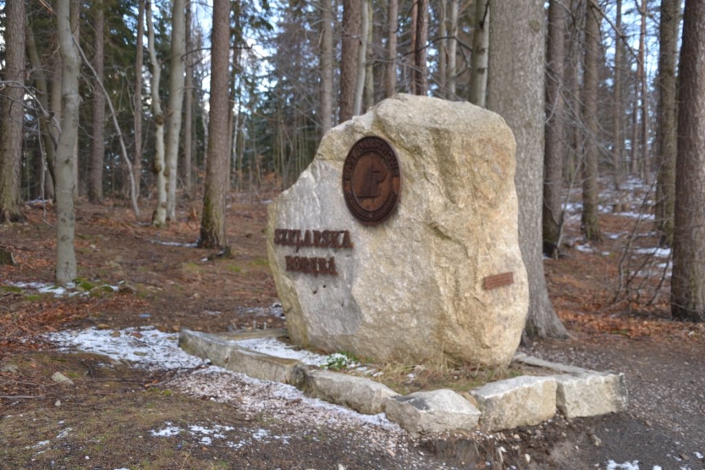 tym-razem-wyprawa-na-krokusy-do-gorzynca-86015