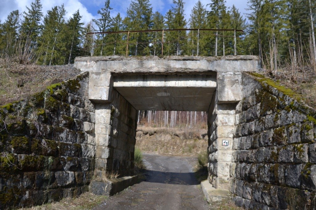 tym-razem-wyprawa-na-krokusy-do-gorzynca-86015