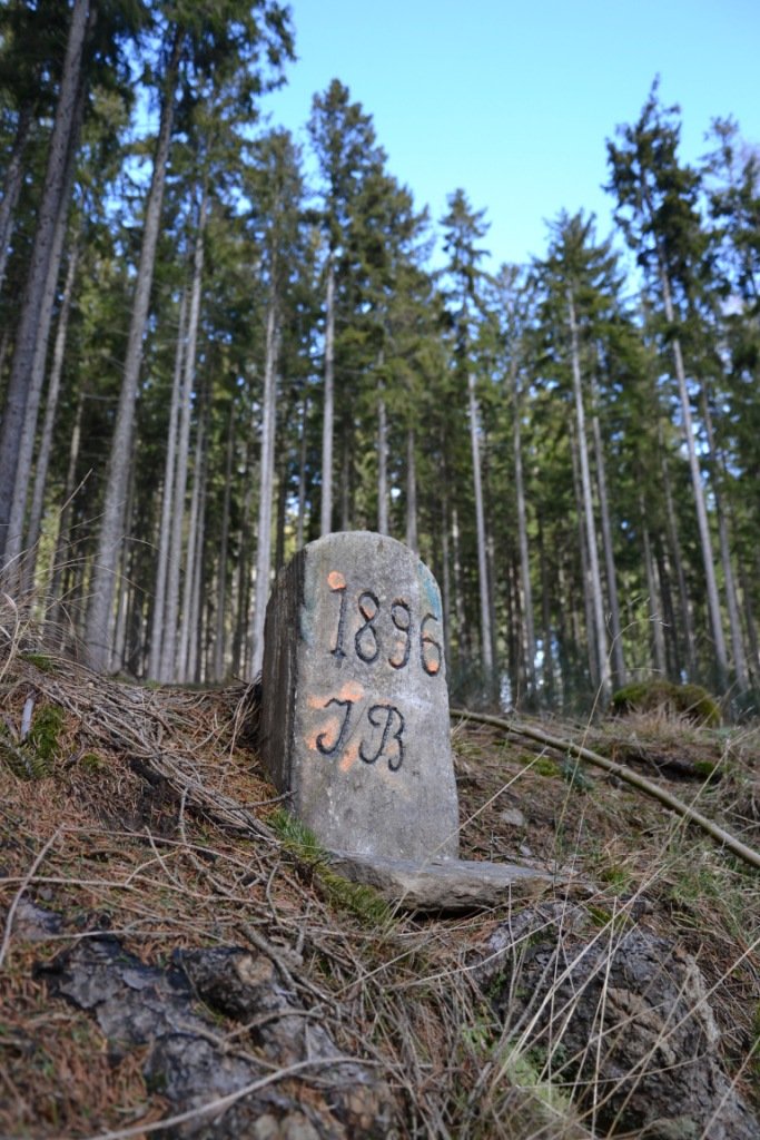 tym-razem-wyprawa-na-krokusy-do-gorzynca-86015
