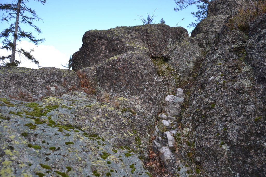 tym-razem-wyprawa-na-krokusy-do-gorzynca-86015