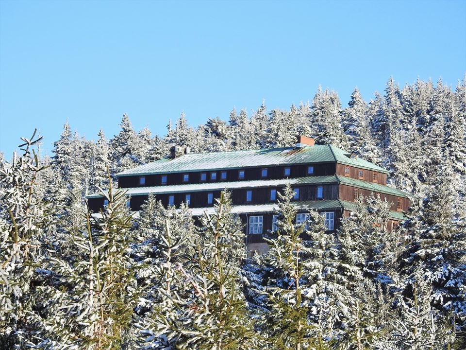 schroniska-zamkniete-86174