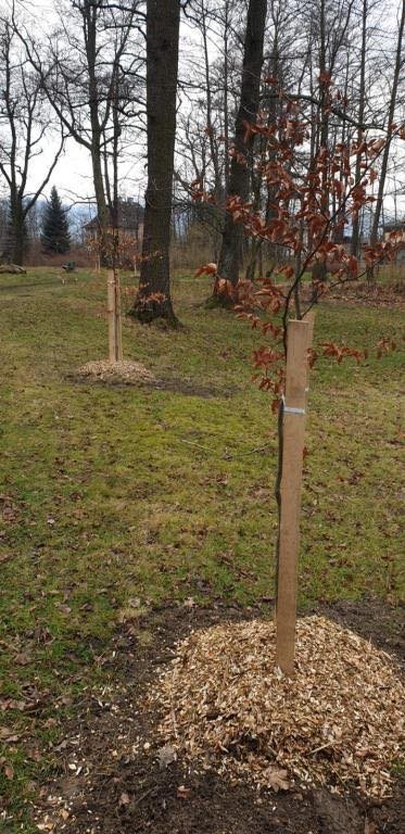 porzadki-przy-cmentarzach-86237