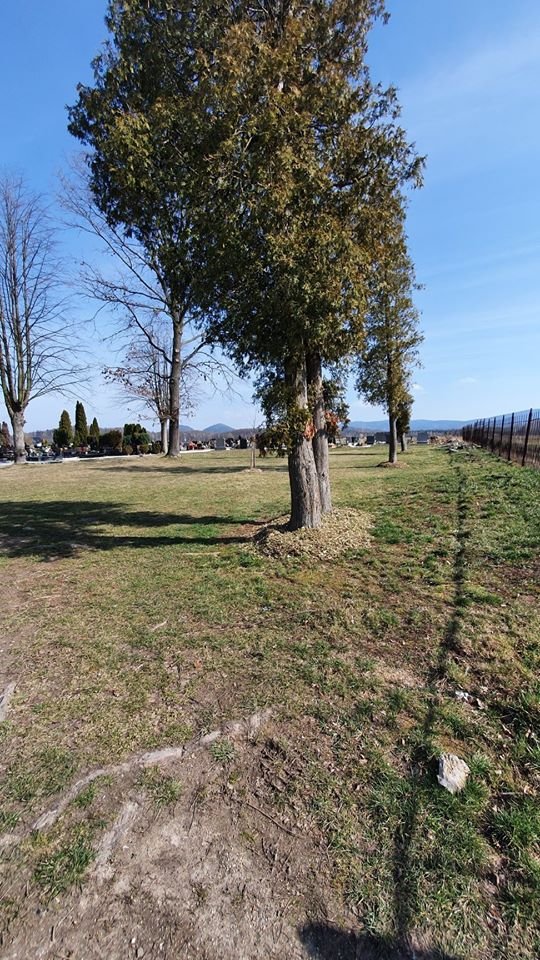 porzadki-przy-cmentarzach-86237