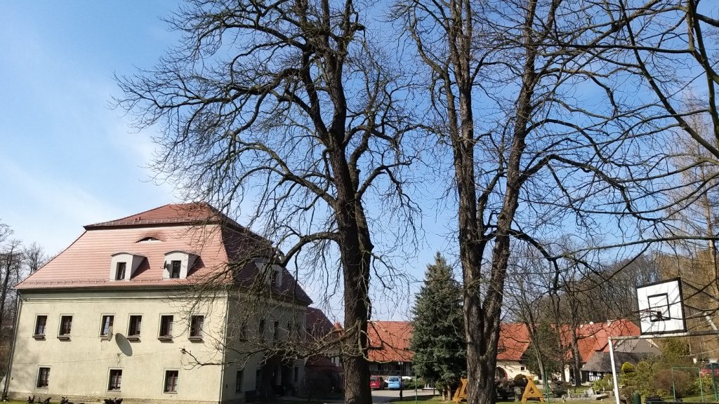 przez-janowicki-przeom-bobru-86240