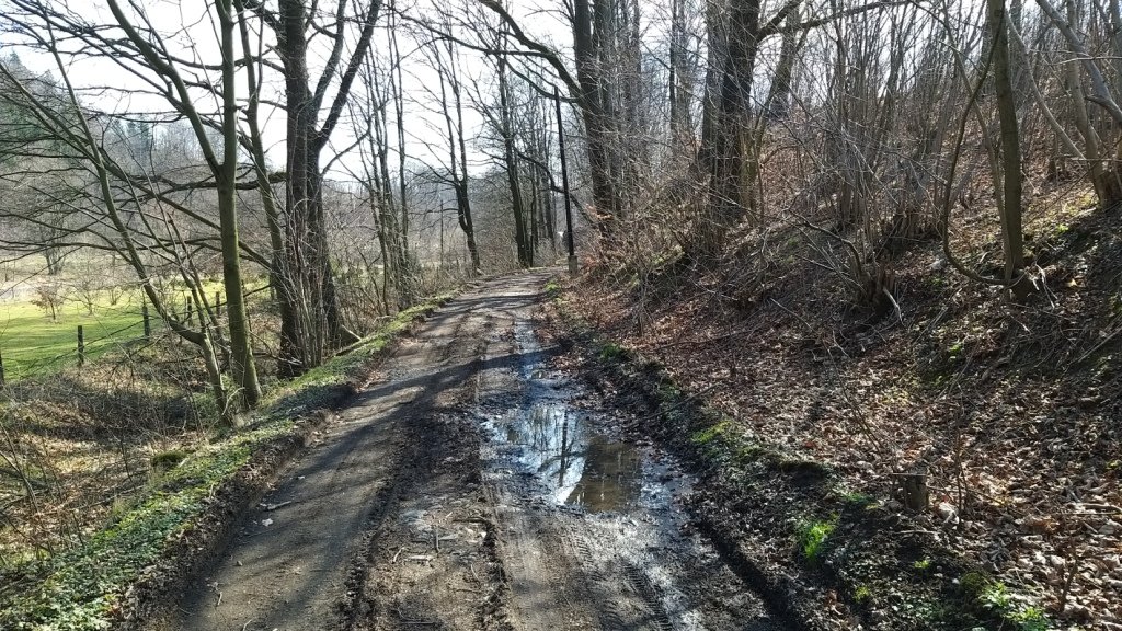 przez-janowicki-przeom-bobru-86240