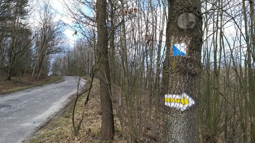 przez-janowicki-przeom-bobru-86240
