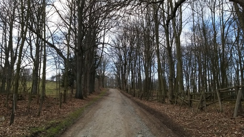 przez-janowicki-przeom-bobru-86240