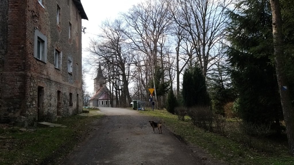 przez-janowicki-przeom-bobru-86240