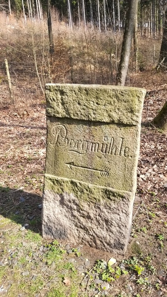przez-janowicki-przeom-bobru-86240