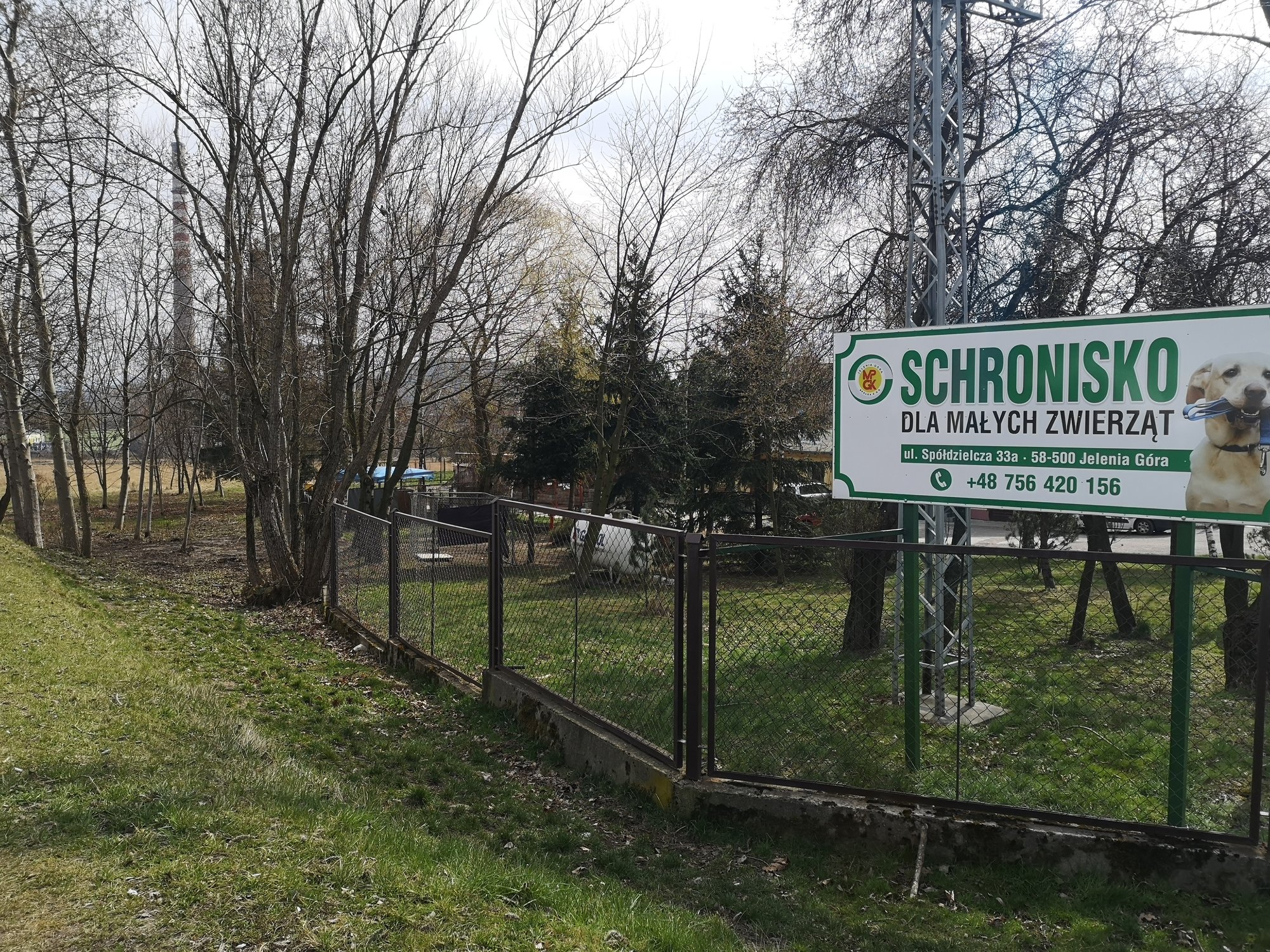 jak-dziaa-schronisko-dla-zwierzat-w-czasie-epidemii-86366
