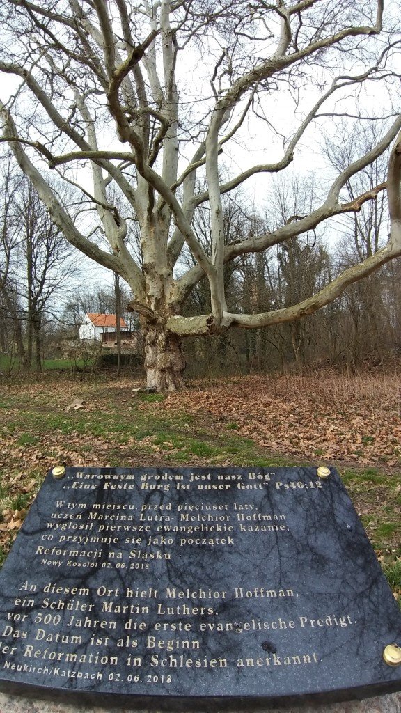 zwiad-na-pogorzu-kaczawskim-86386