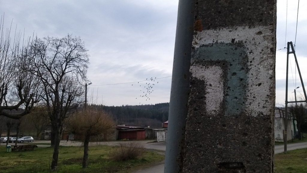 zwiad-na-pogorzu-kaczawskim-86386
