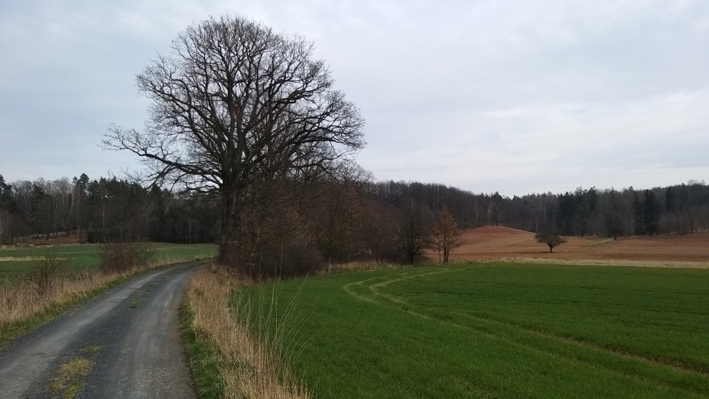 zwiad-na-pogorzu-kaczawskim-86386