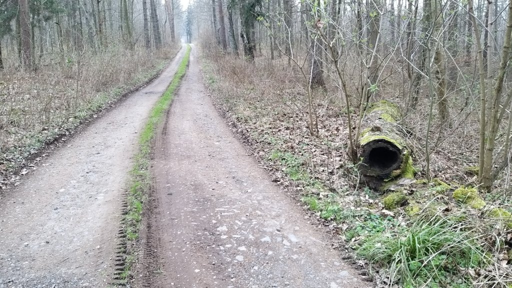 zwiad-na-pogorzu-kaczawskim-86386