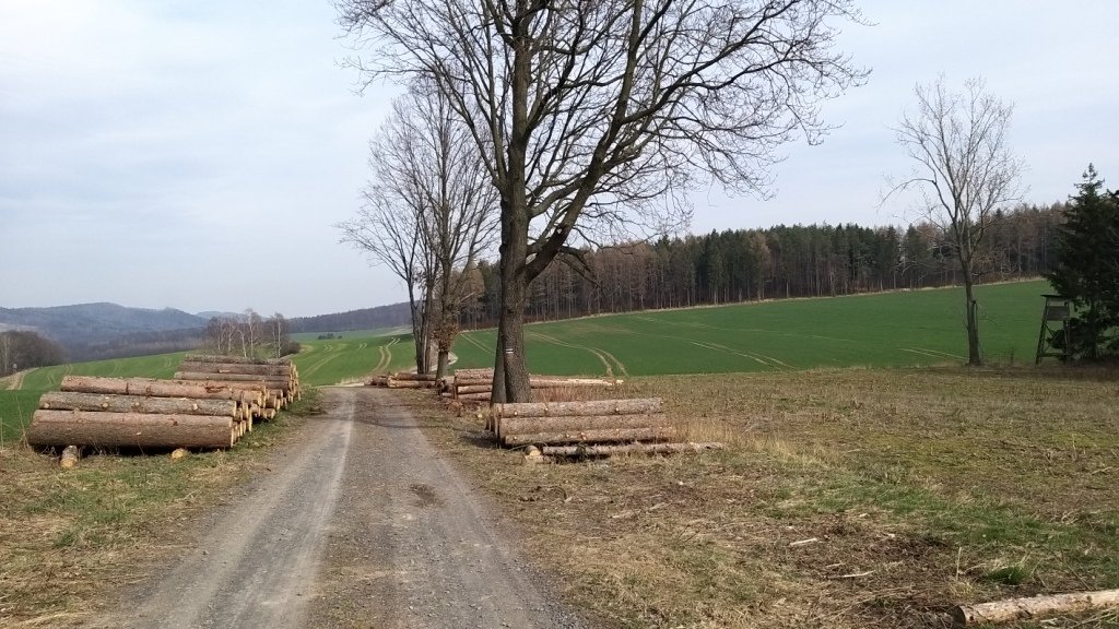 zwiad-na-pogorzu-kaczawskim-86386