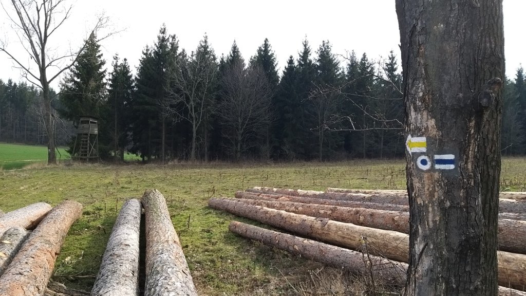 zwiad-na-pogorzu-kaczawskim-86386