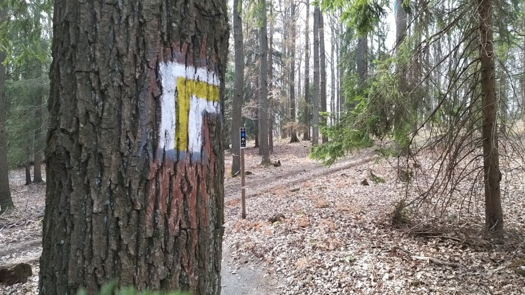 zwiad-na-pogorzu-kaczawskim-86386