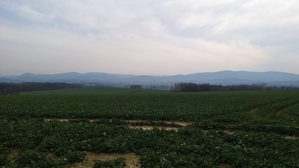 zwiad-na-pogorzu-kaczawskim-86386