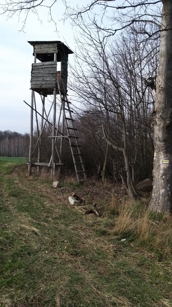 zwiad-na-pogorzu-kaczawskim-86386